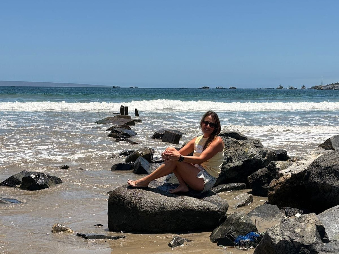 Playa Tongoy-Castro必去景点