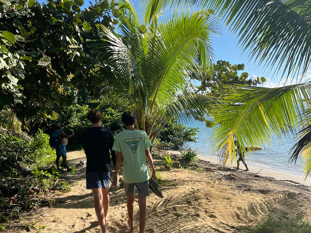 Punta Caracol Acqua Lodge主图