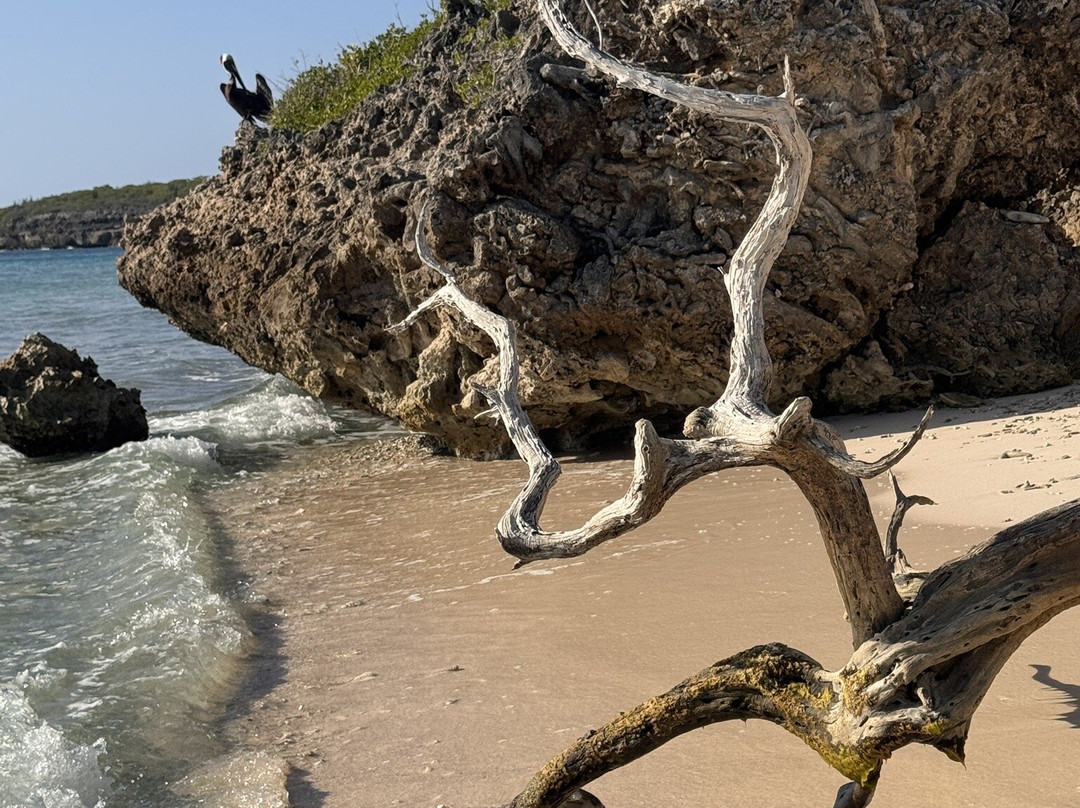 Landhuis San Nicolas-Soto必去景点