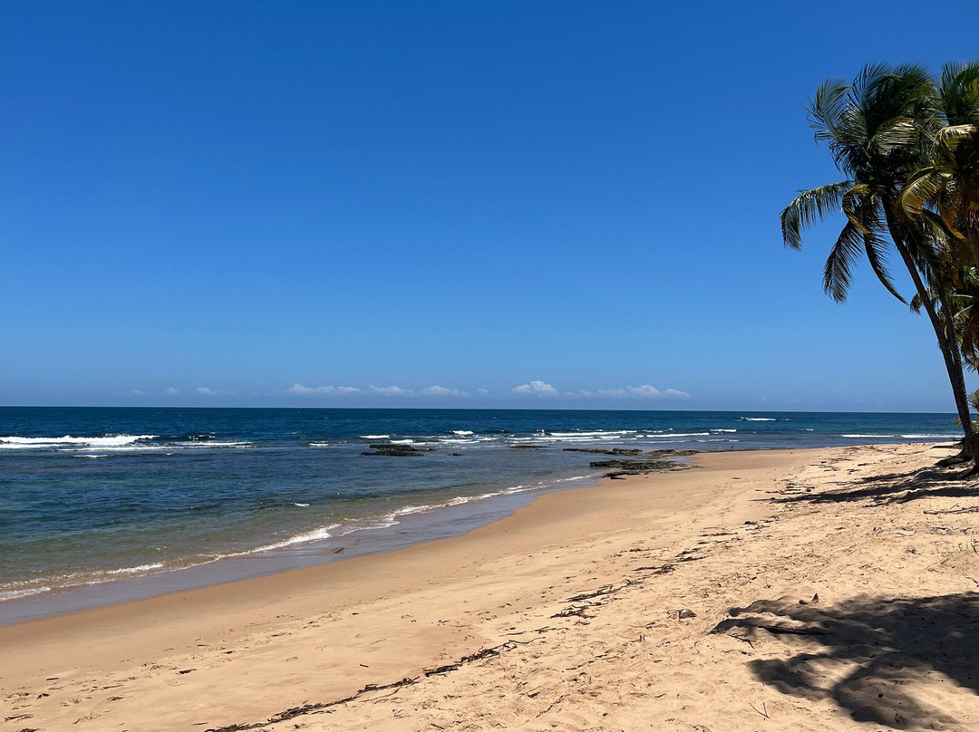 Bombaca Beach-Barra Grande必去景点