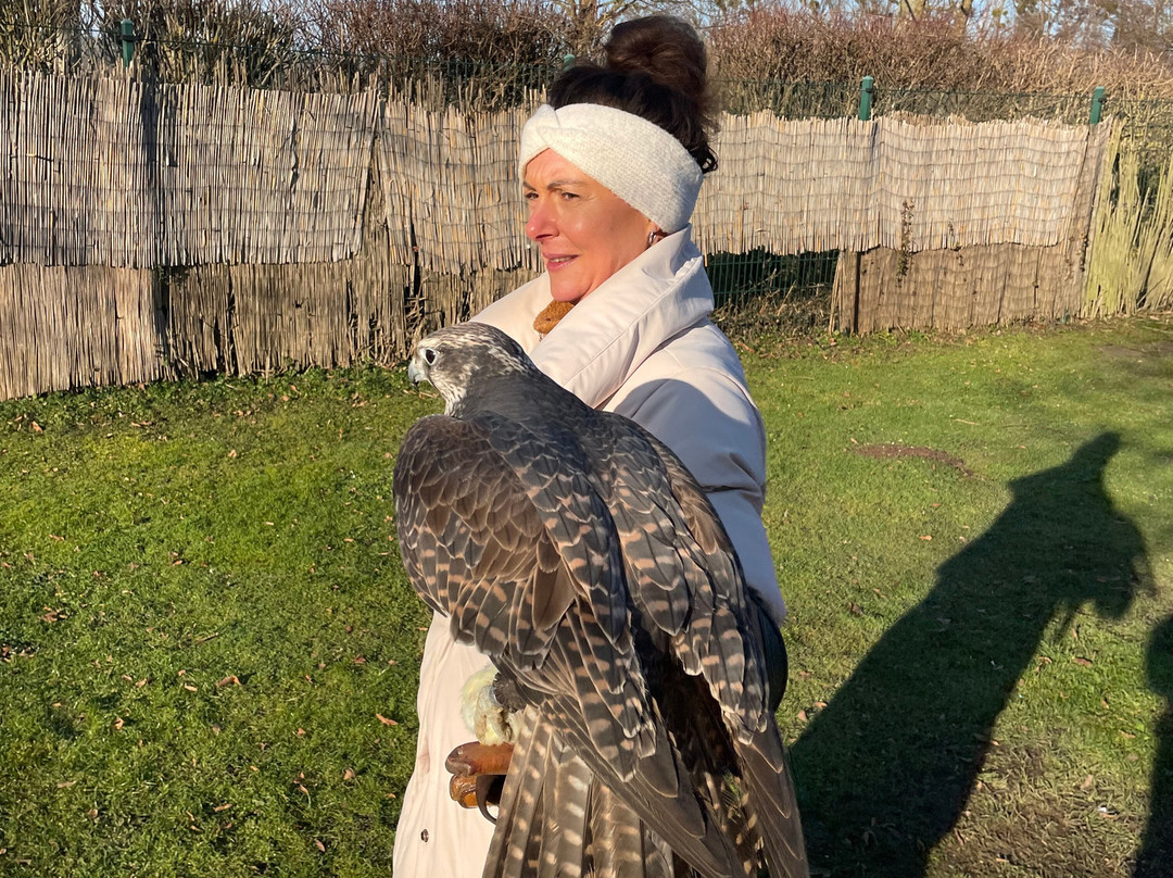 Falknerei Pierre Schmidt-Erftstadt必去景点