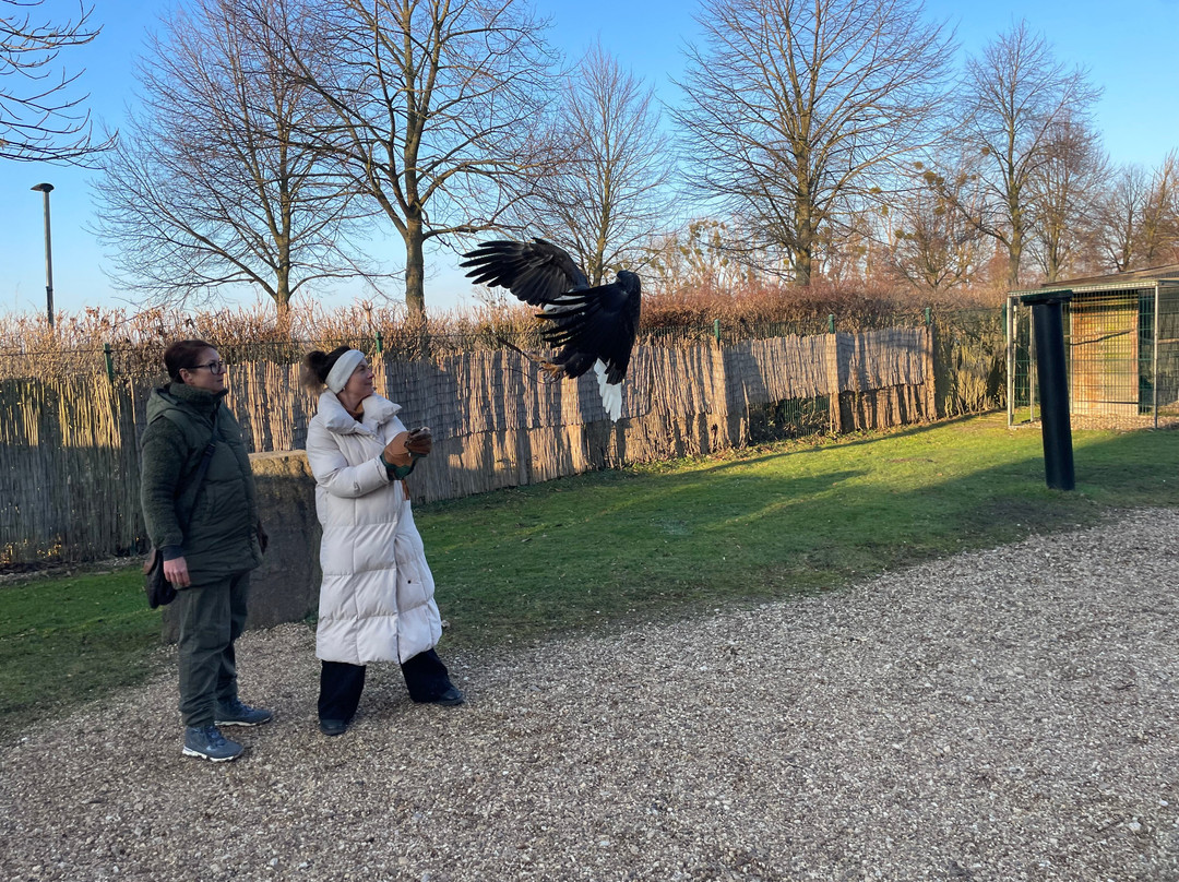 Falknerei Pierre Schmidt-Erftstadt必去景点