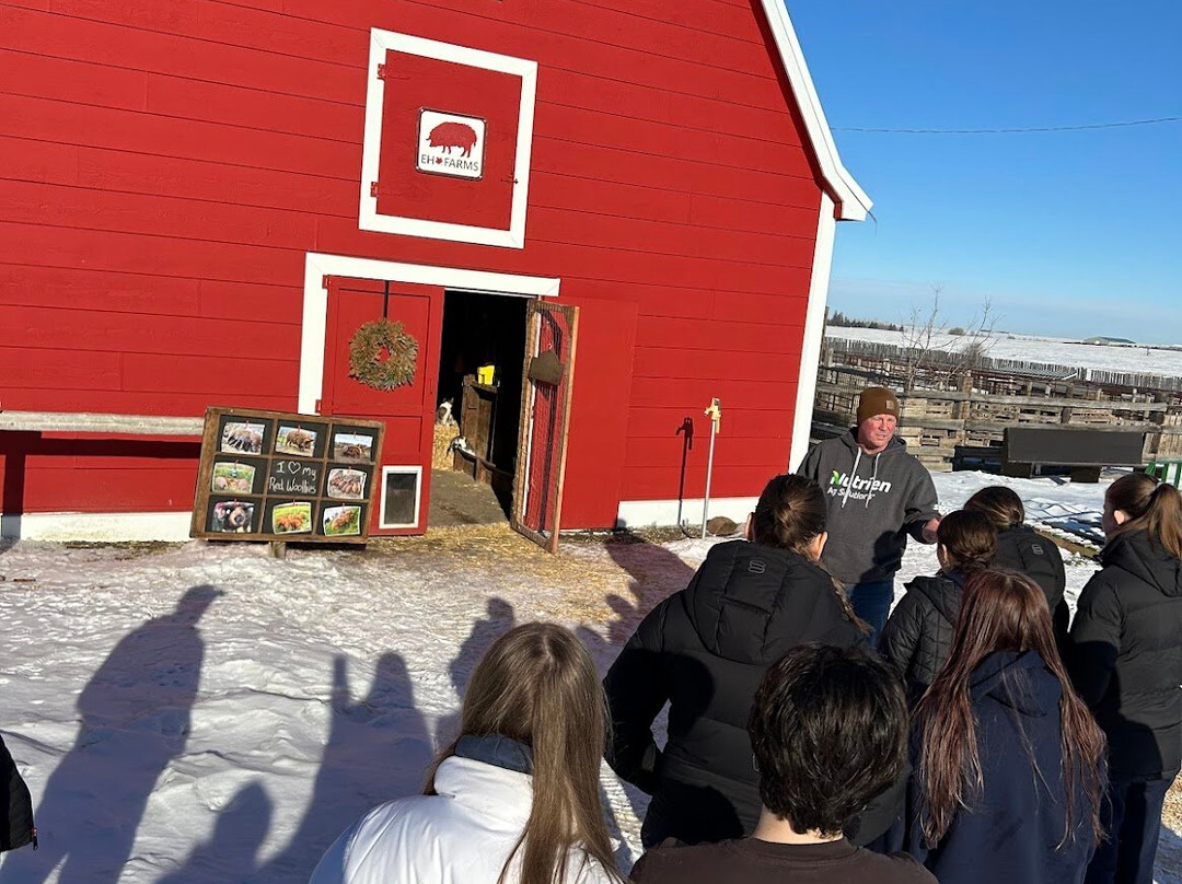 Eh Farms-Strathmore必去景点