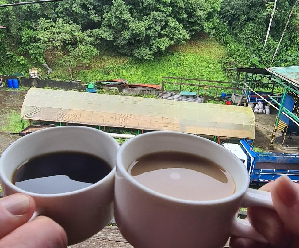 Mi Cafecito Coffee Tour景点图片