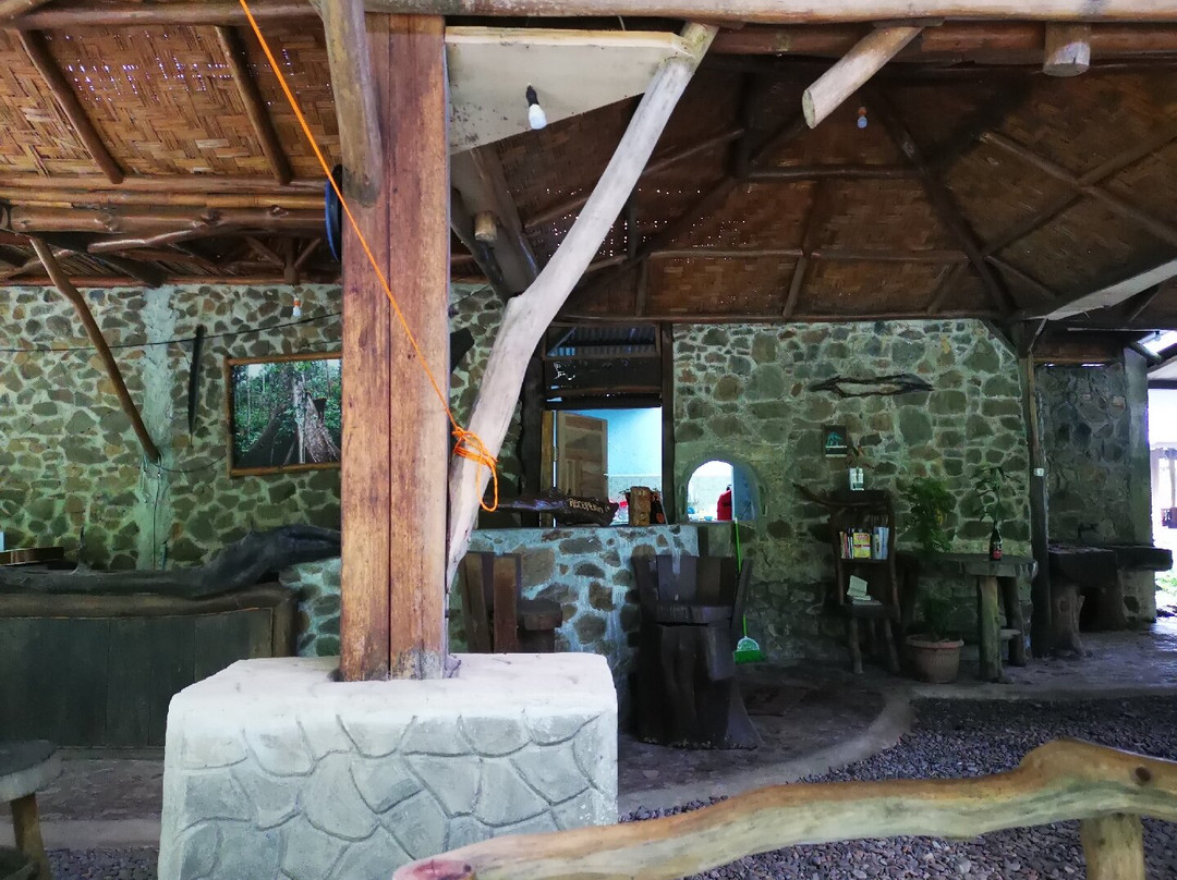 Back to Nature Ecotourism主图