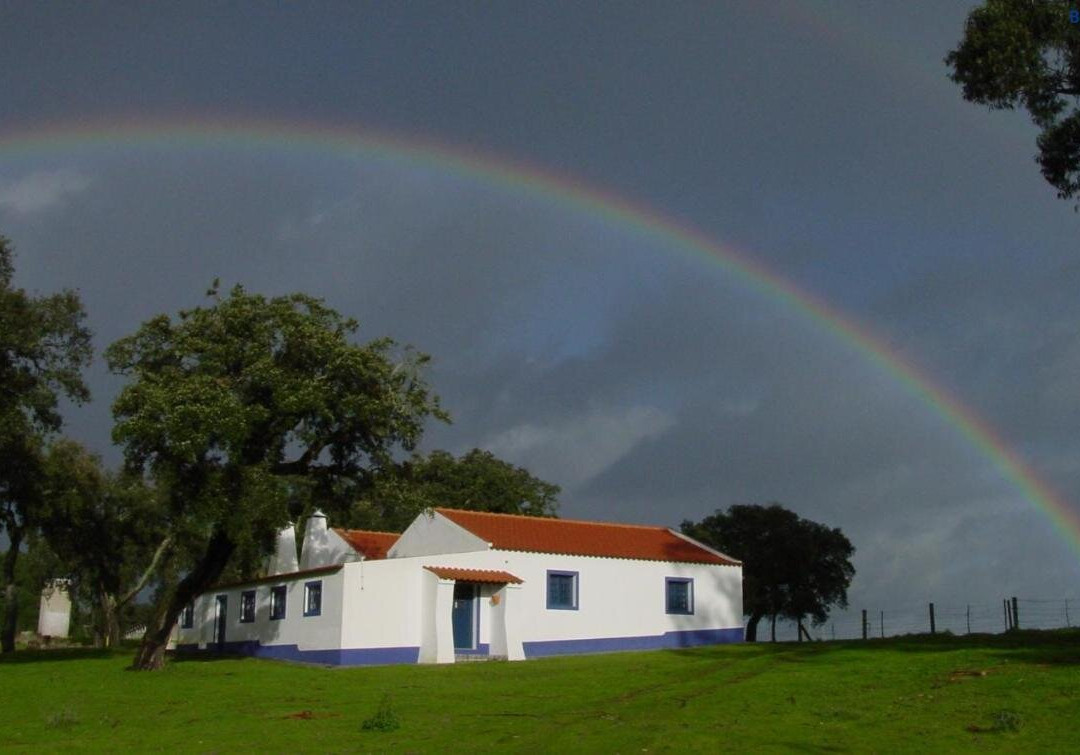 Monte dos Arneiros