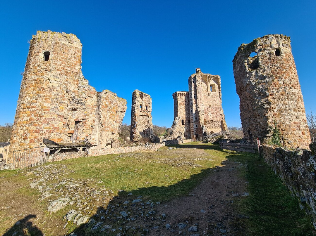 Château d'Hérisson景点图片
