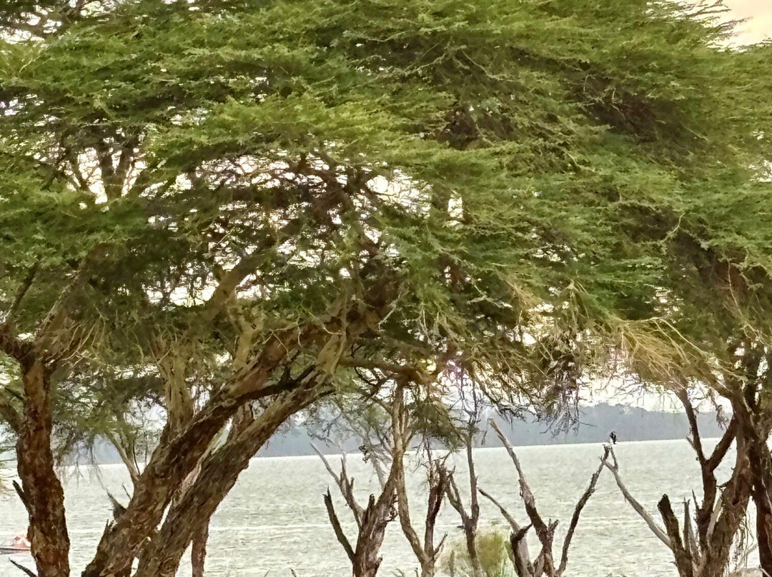 Crescent Island Game Park-奈瓦夏必去景点