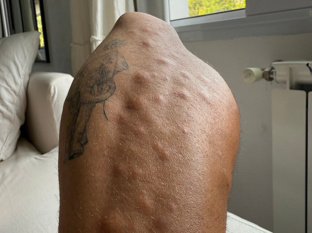 Sala De Payogasta主图