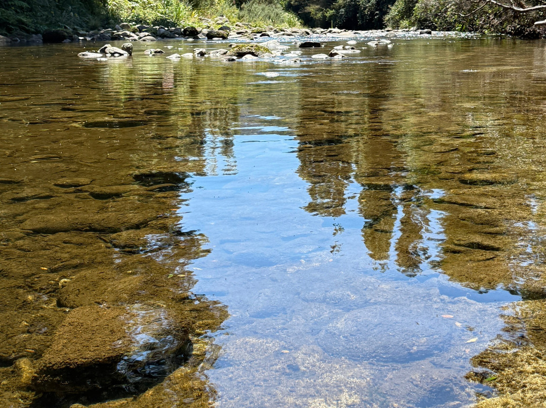 Wainui Falls Track-Abel Tasman National Park必去景点