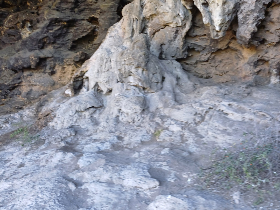Tarragal Caves-Cape Bridgewater必去景点