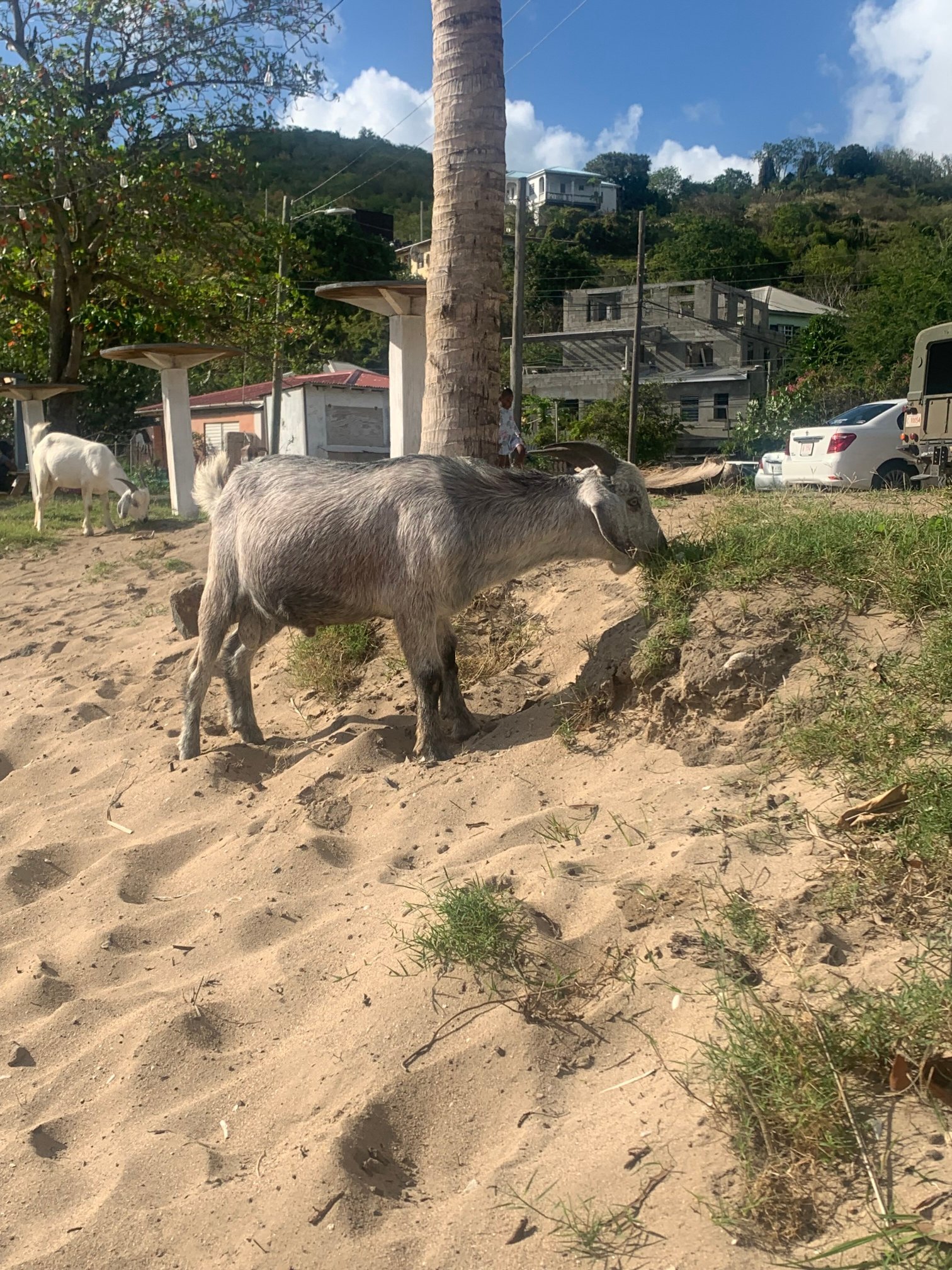 卡莱尔湾酒店-泳池