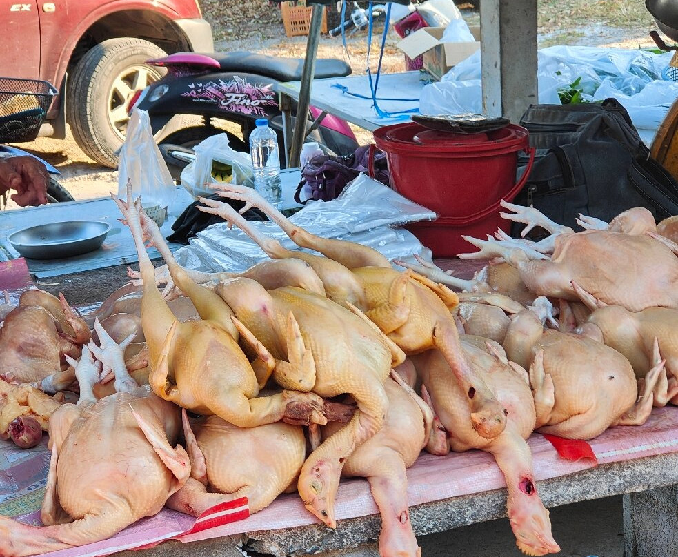 Khanom Walking Street景点图片