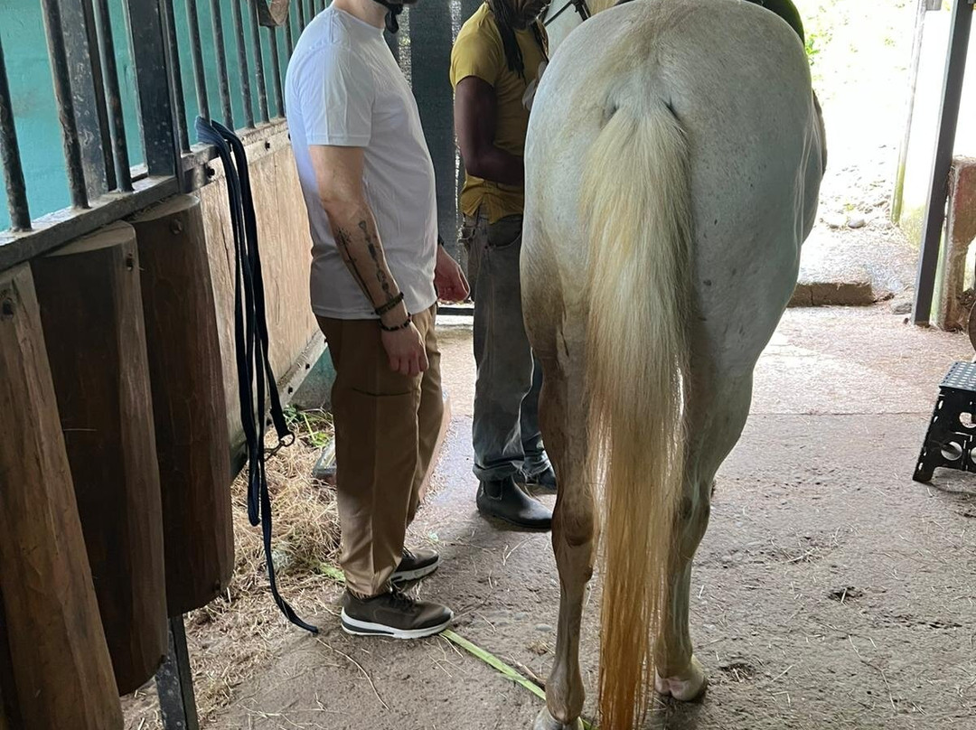 Caribe Horse Riding Club景点图片