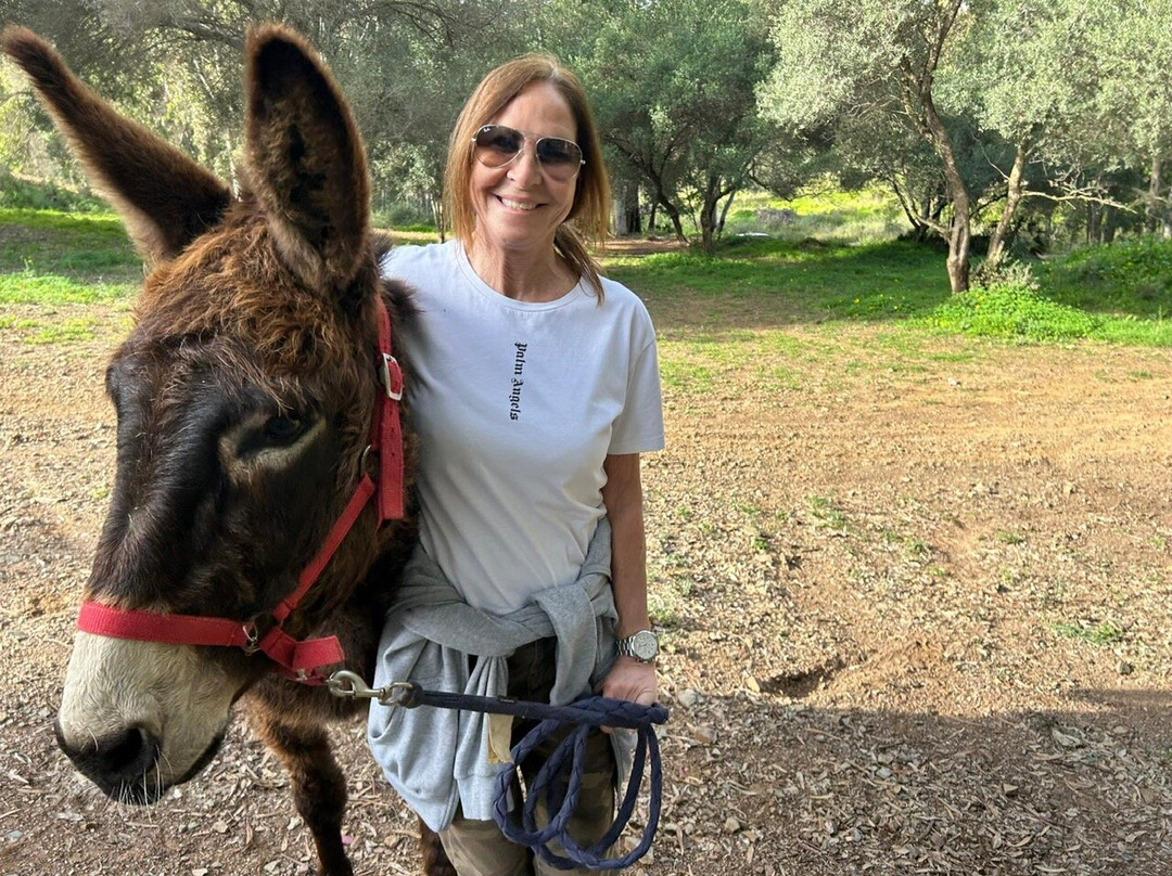 Donkey Dreamland景点图片