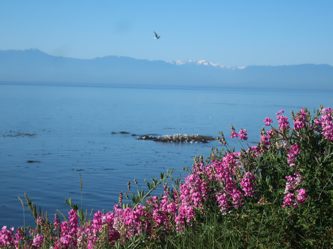 Westsong Walkway-维多利亚必去景点