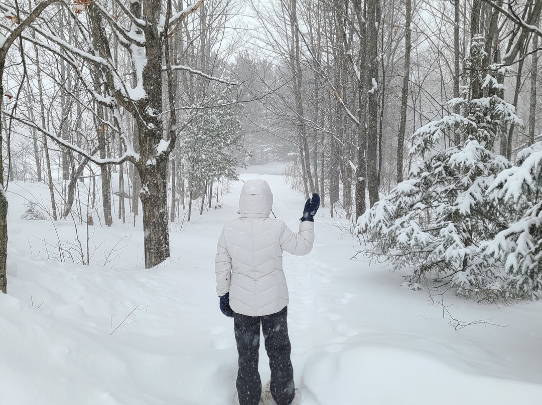 Auberge des Glacis主图