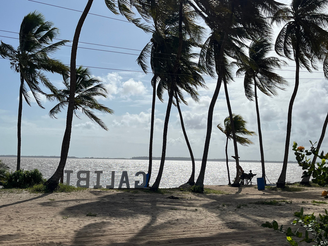 Galibi Nature Reserve-Marowijne District必去景点
