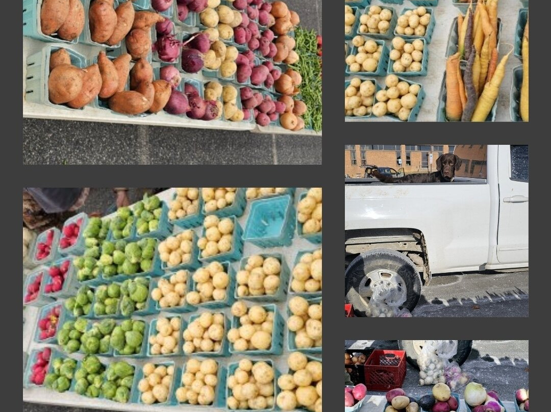 Zahradka Farm-Essex必去景点