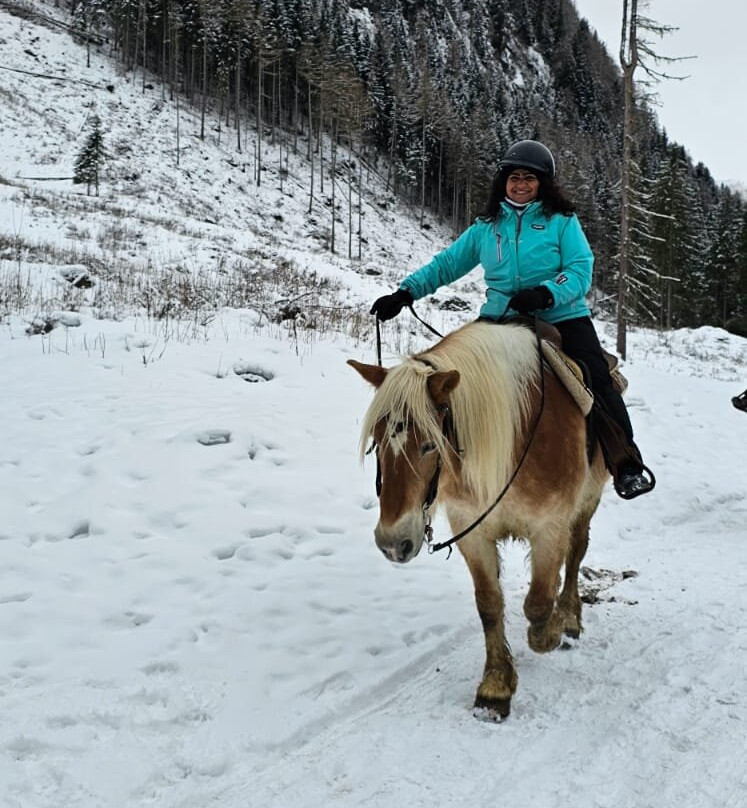 Charlotte Horse Riding景点图片