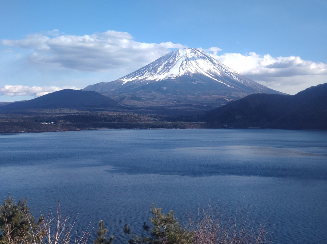 Motosukotenbo Park景点图片