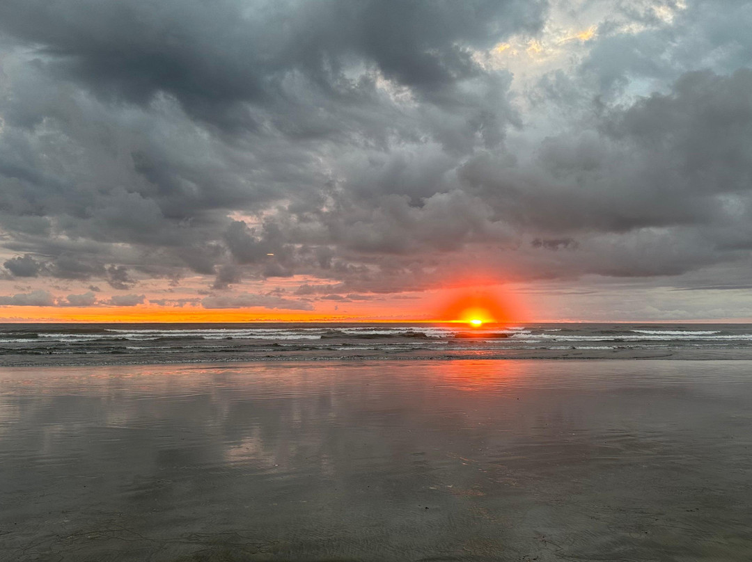 Palmetto Lodge主图