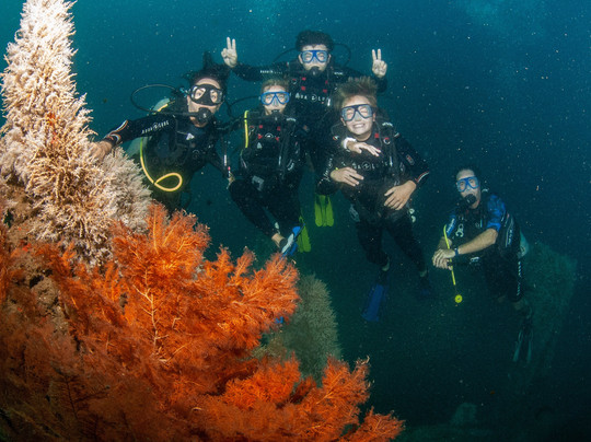 Acapulco Scuba Center-阿卡普尔科必去景点