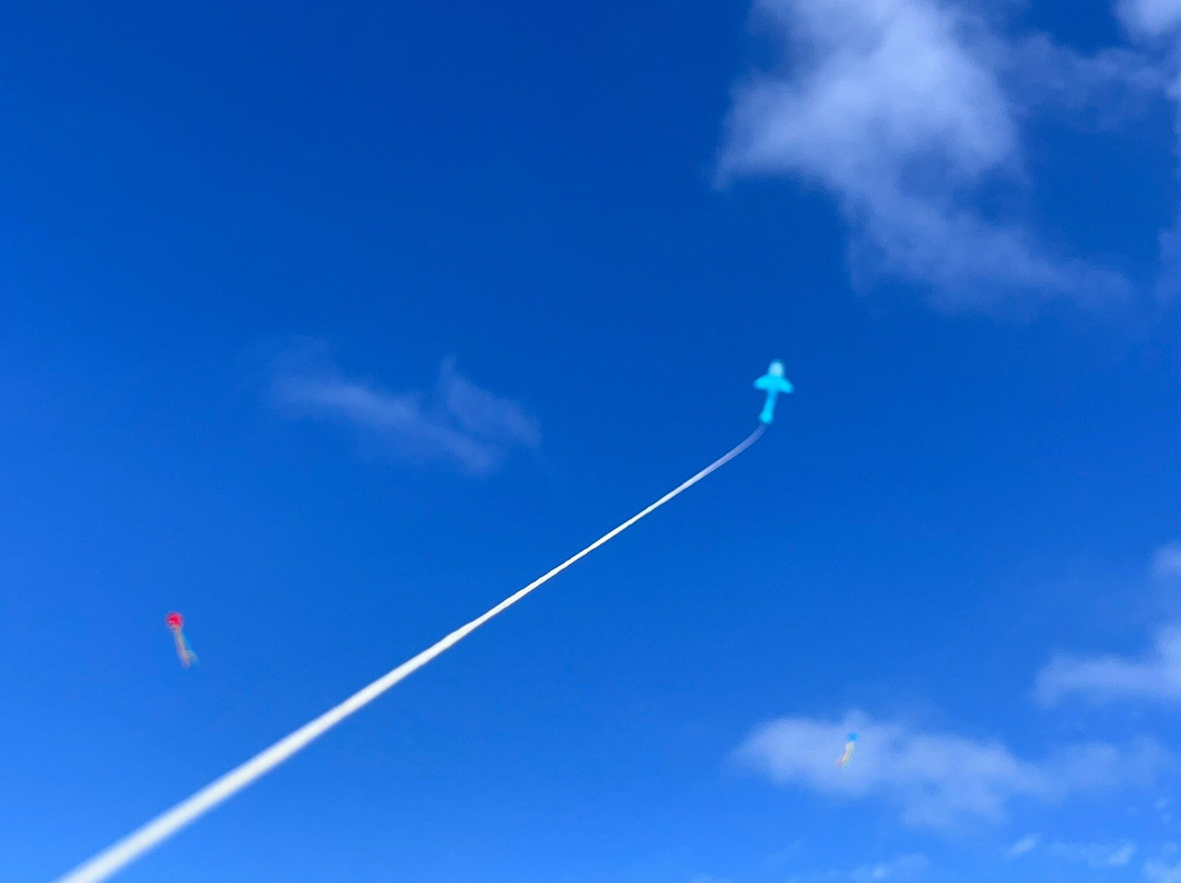 Beachside Motel主图