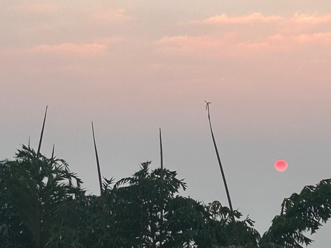 Netarhat Sunrise Point景点图片
