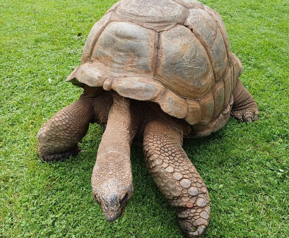 Manzige Tours-Mwanga必去景点