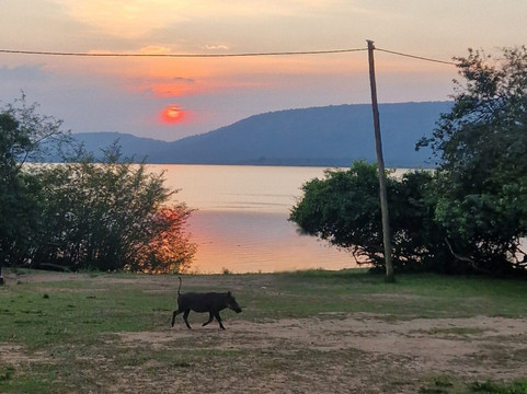 Lalu African Tours-恩德培必去景点