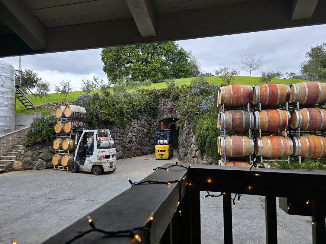 Alexander Valley Vineyards景点图片