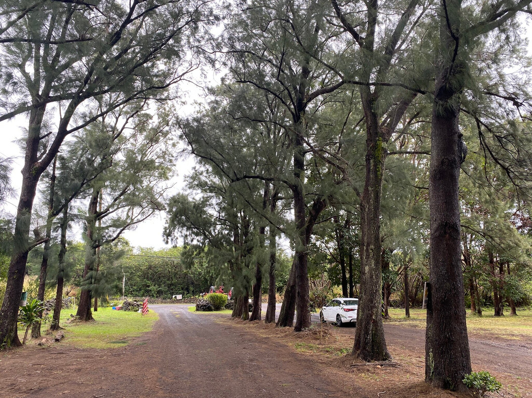 天堂草场-纳勒胡必去景点