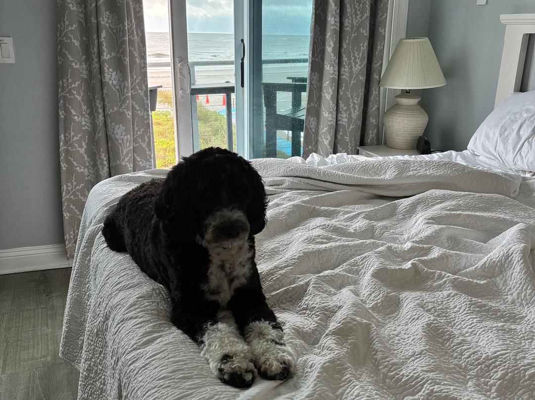 圣奥古斯丁海滩别墅主图