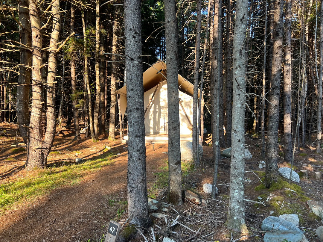 Under Canvas Acadia主图