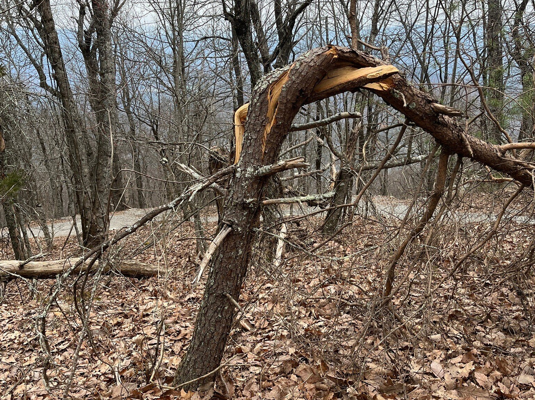 Yonah Mountain Hiking Trail-海伦必去景点
