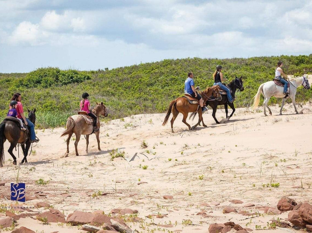 Lakeside Trail Rides-Morell必去景点