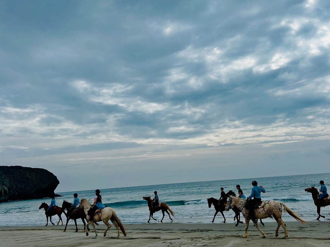 Cabacci Horse Trails景点图片