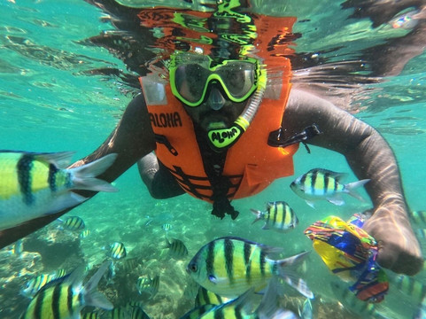 Hikkaduwa Snorkeling And Diving Aloha-希克杜沃必去景点