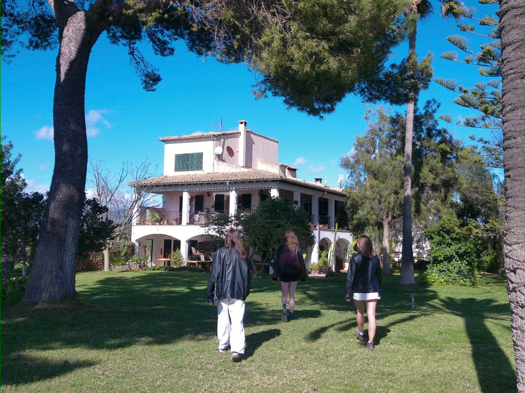 Can Pizà Boutique Winery景点图片