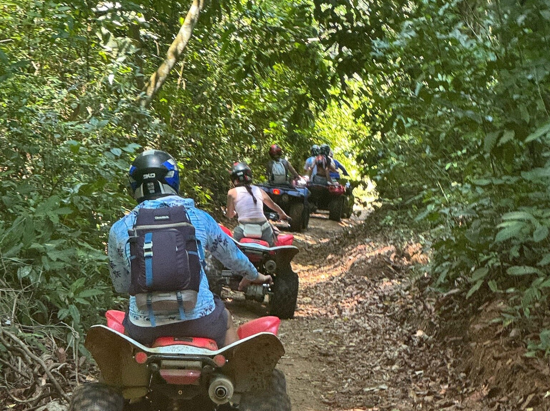 Carara Adventure Park景点图片