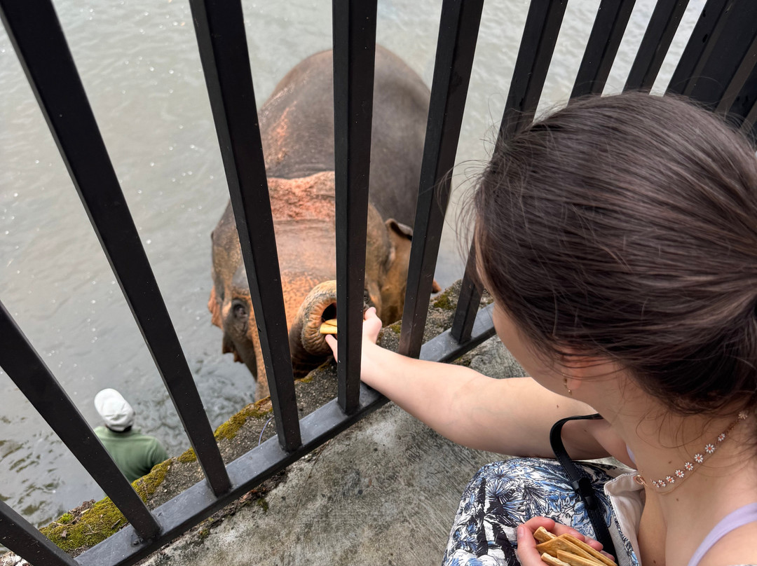 ChamiTours Hambantota-Hambantota必去景点