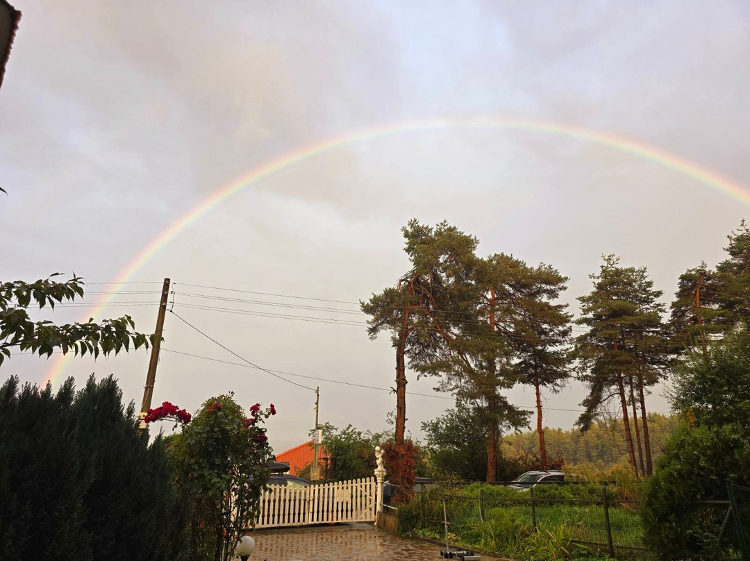 Hotel Kalvachevi主图