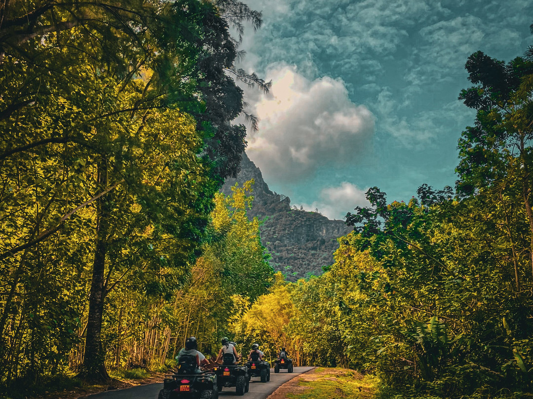 莫雷阿岛ATV之旅-莫雷阿岛必去景点