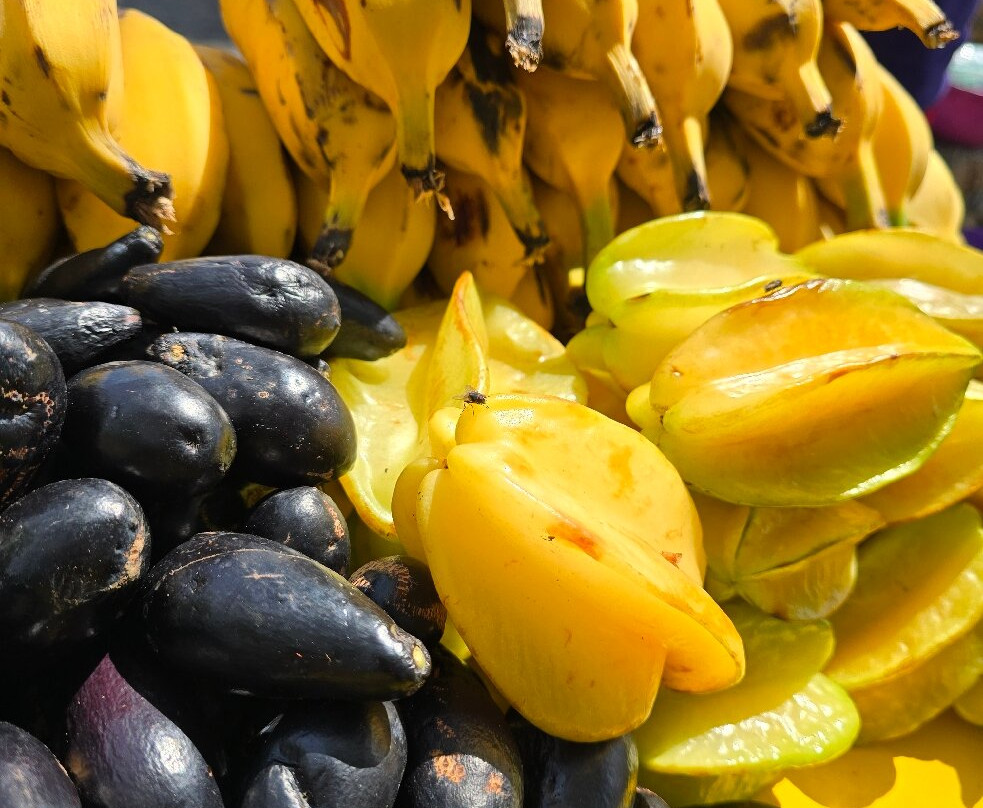 MOH - Organic Market Huatulco-Crucecita必去景点