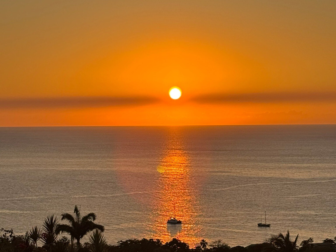 Le Jardin Tropical主图