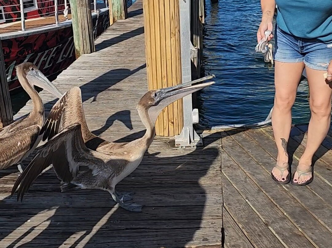 AquaLife Divers-庞帕诺比奇必去景点