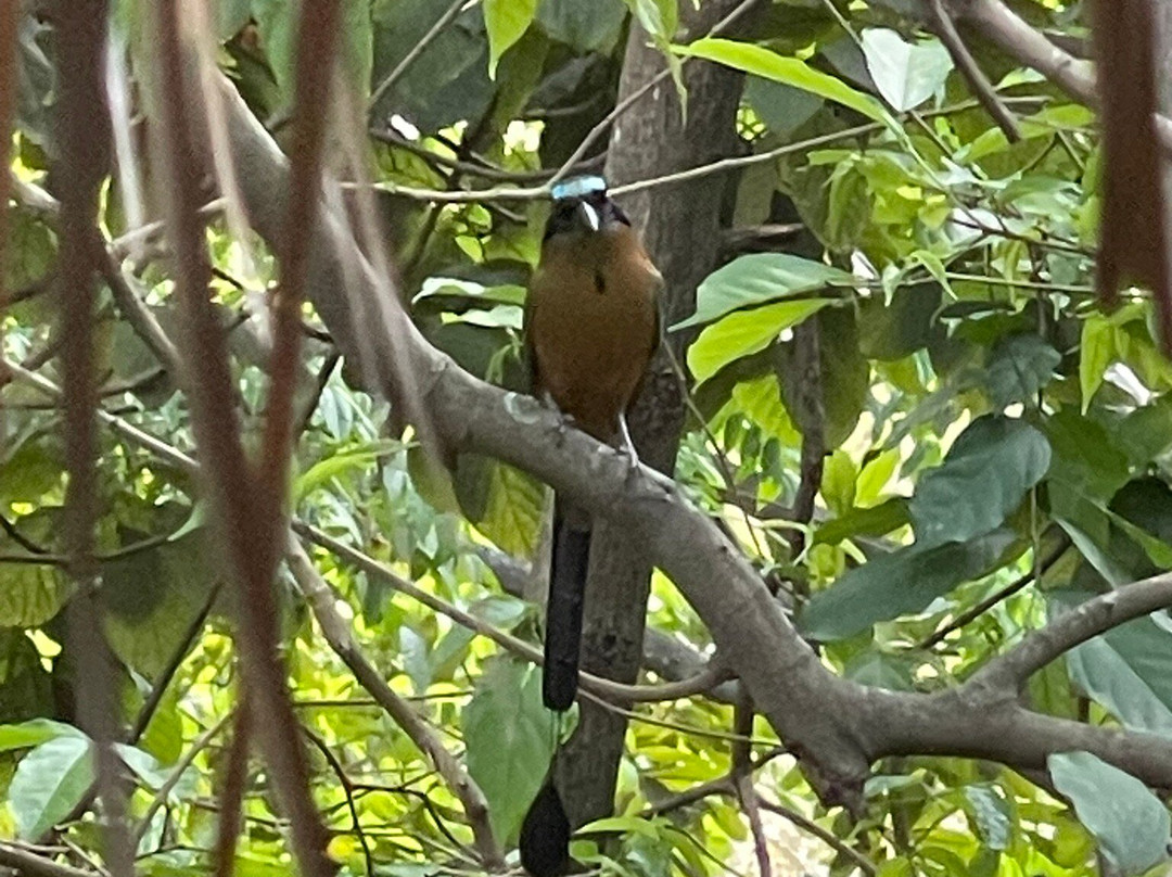 Eco Hostal Yuluka主图