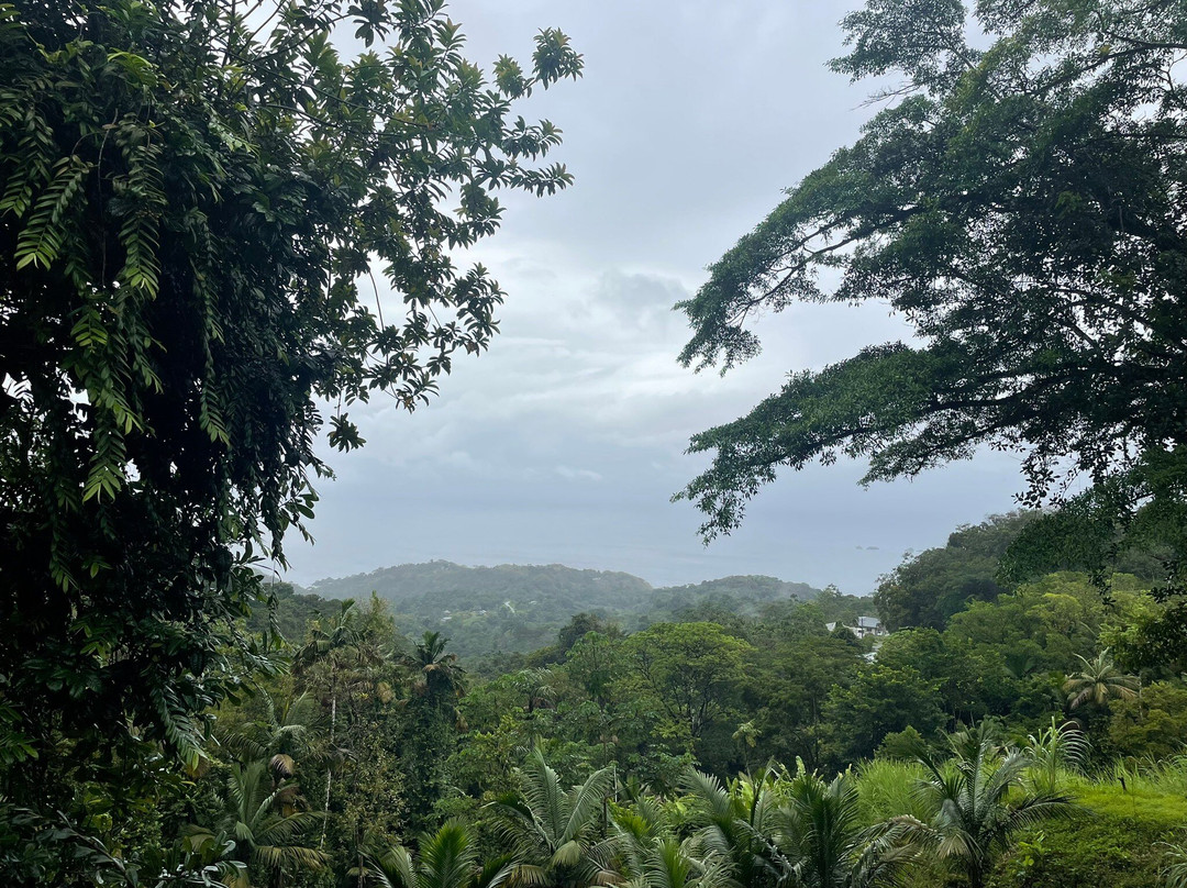 Shurland Nature Park-多巴哥必去景点