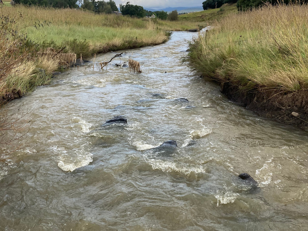 Stoneybrook Ranch Bed and Breakfast主图